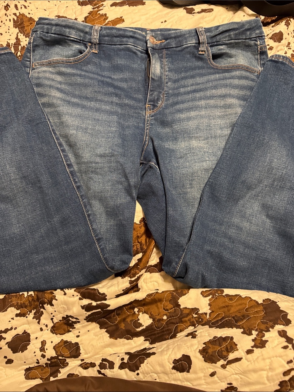 American Eagle Outfitters Blue Denim Shorts